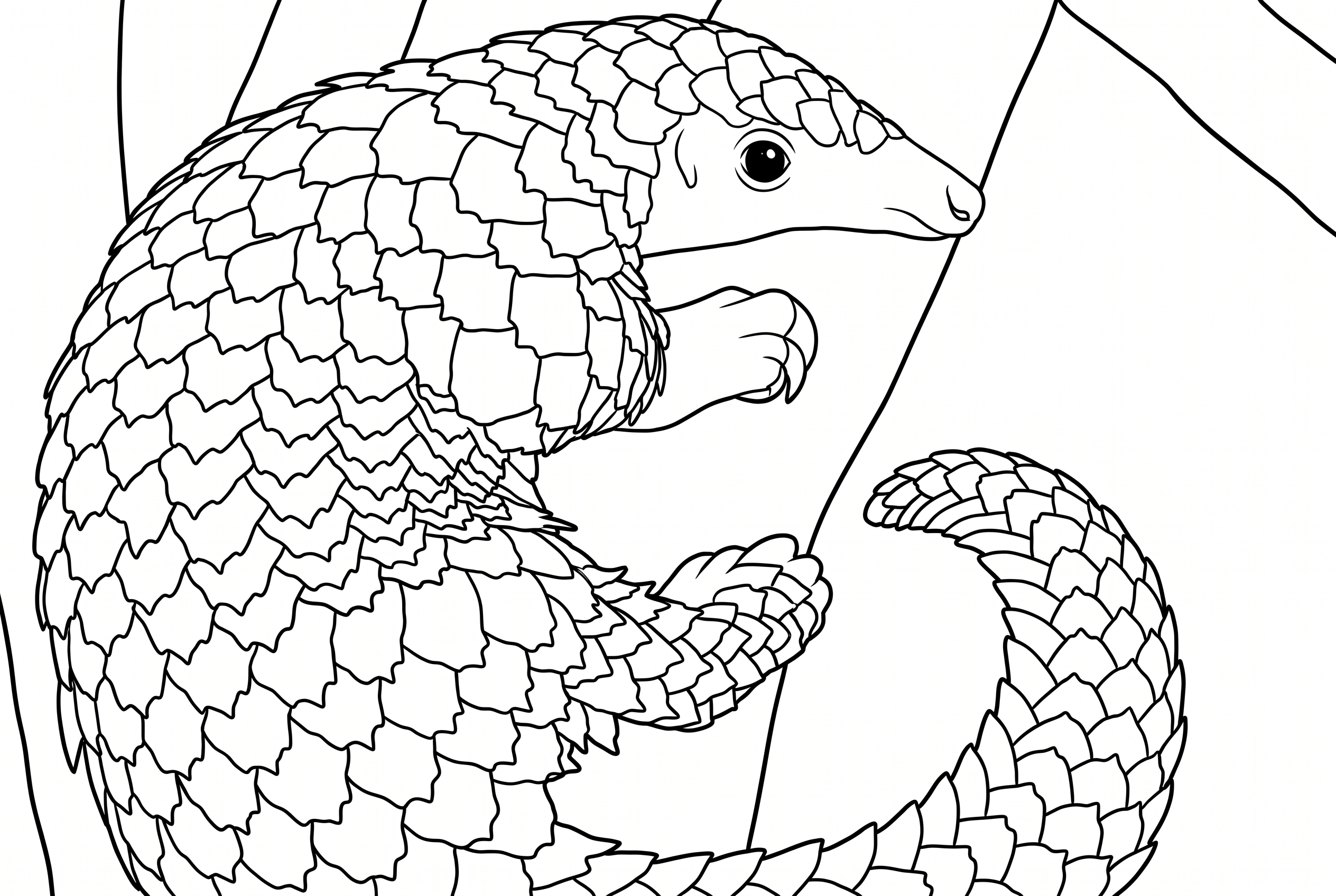 01M146AF9QMEG49PFEBV9MW55P.png coloring page to print