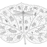 tiny insects crawling on a leaf
