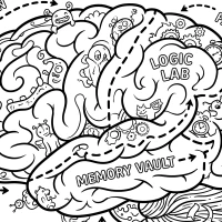 human brain with highlighted regions