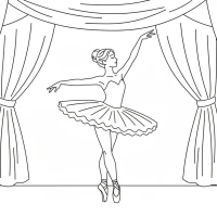 Elegant ballet dancer in tutu practicing on stage