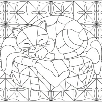 Cute sleeping kitten in cozy basket