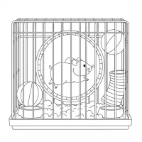 Cute hamster on wheel in cage