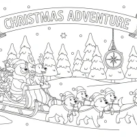 Christmas dog sled adventure through pine valleys