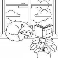 cozy scene of a cat on windowsill with book