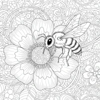 Honeybee collecting nectar from flower
