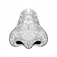 human nose with nostrils and features