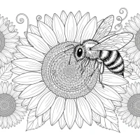 Bee collecting nectar from sunflower