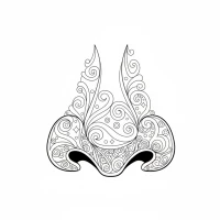 Detailed human nose with nostrils