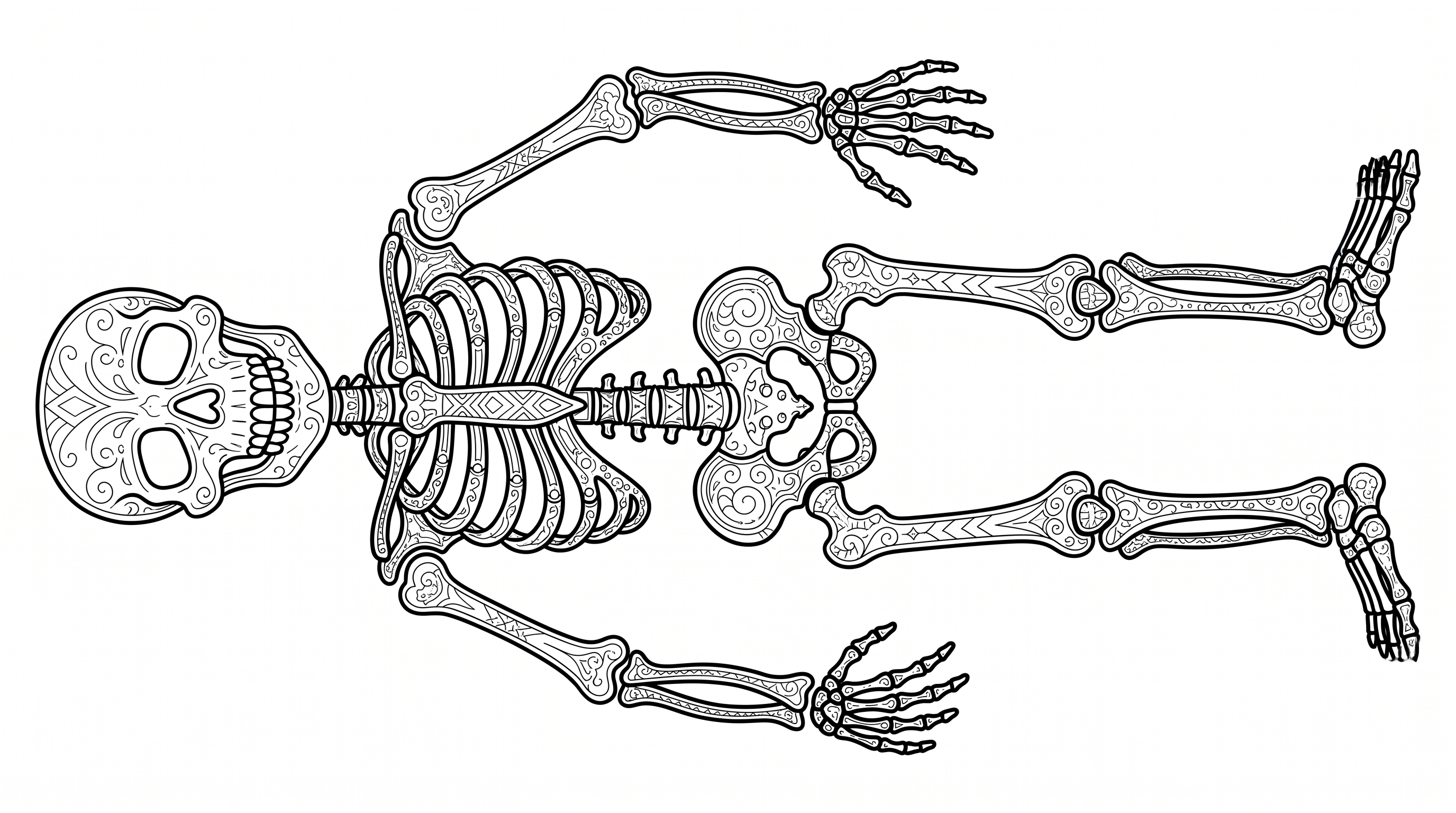 A detailed diagram of a human skeleton showing bones and joints. coloring page to print