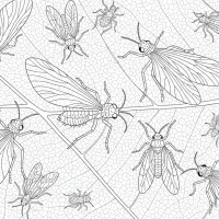 microscopic view of tiny insects on a leaf