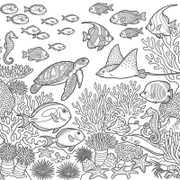 colorful coral reef teeming with sea life
