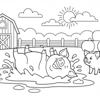 farm scene with pig rolling in muddy puddles